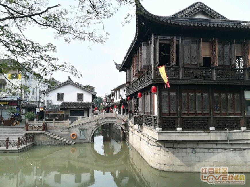 逃出漂亮花谷